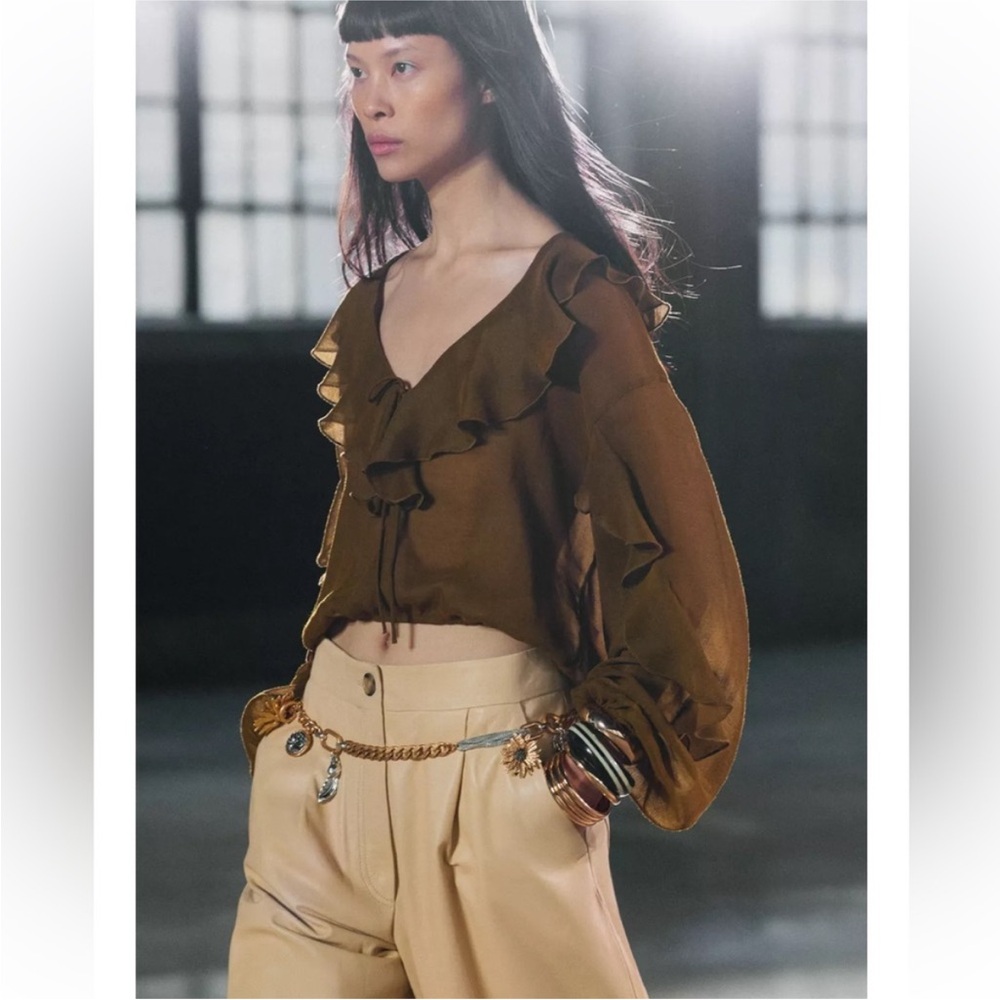 Zara RUFFLED FLOWY BLOUSE
Worn once - Picture 2 of 4